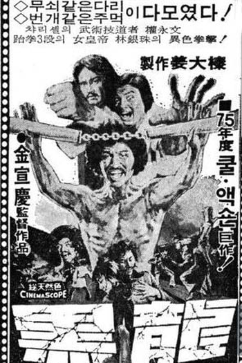Poster de Filme Black Dragon (1975)