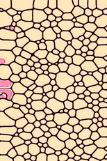 ☗ Alph. (☗ Alph.)