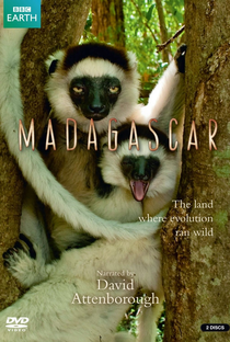 Madagascar - Poster / Capa / Cartaz - Oficial 1