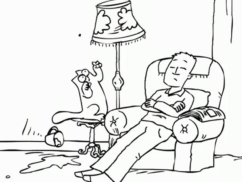 Foto 1 de Simon's Cat