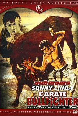 Poster 1 de Filme Combate Mortal (1974)