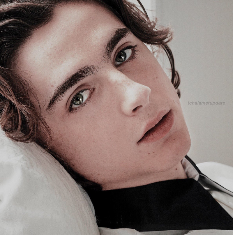 Timothée Chalamet - Foto 3