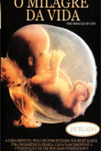 Poster de Filme O Milagre da Vida (1996)
