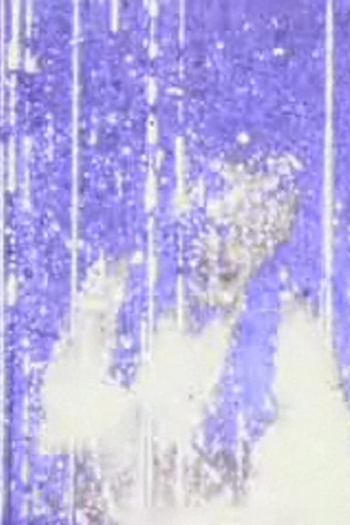 Poster de Curta Schildmeyer Darlaten (1988)