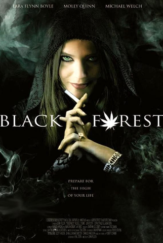Poster 1 de Filme João, Maria e a Bruxa da Floresta Negra (2013)