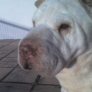 Foto de perfil de Caio Mello