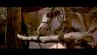 Trailer: Hidalgo trailer