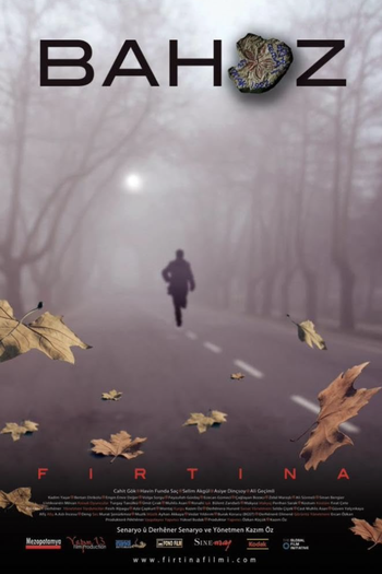 Poster de Filme THE STORM (2008)