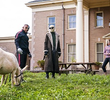 Donkey Patrol