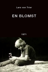Uma Flor (En Blomst)
