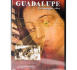 Guadalupe - uma imagem viva