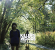 Killer in the Woods