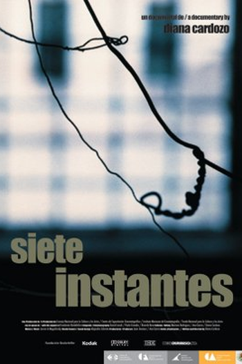 Poster de Filme Sete Instantes (2008)