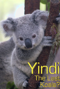 Yindi the Last Koala - Poster / Capa / Cartaz - Oficial 1
