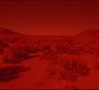 025 SUNSET RED