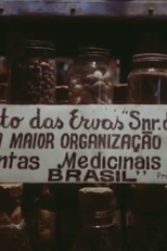 Ponto das Ervas (Ponto das Ervas)