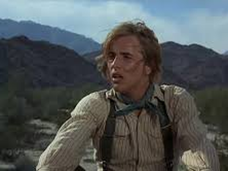 Foto 4 de O Clamor da Juventude