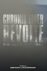 Istambul – crônica de uma revolta (Chronik einer Revolte - ein Jahr Istanbul)