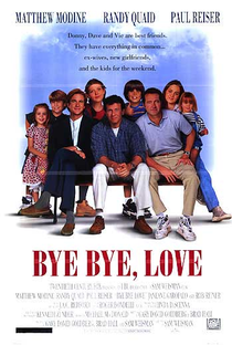Bye Bye Love - Os Descasados - Poster / Capa / Cartaz - Oficial 4