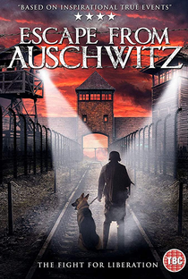 Fuga de Auschwitz - Poster / Capa / Cartaz - Oficial 1