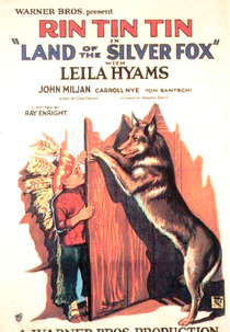 O Heroísmo de Rin Tin Tin (Land of the Silver Fox)