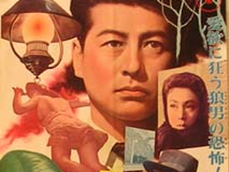 Foto 2 de Vampire Moth