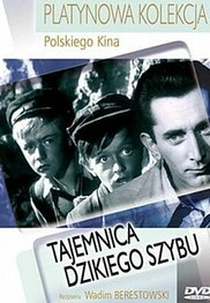 O Mistério da Mina Abandonada (Tajemnica dzikiego szybu)