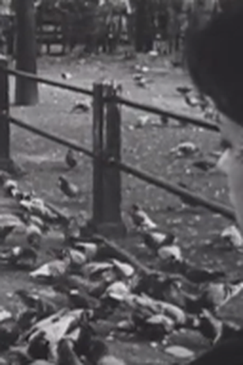 Poster de Curta The Aviary (1954)