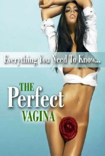 A Vagina Perfeita - Poster / Capa / Cartaz - Oficial 1