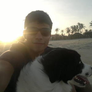 Foto de perfil de Haroldo Júnior