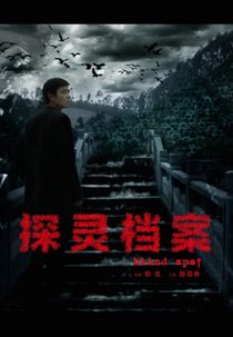 Blind Spot (Tan Ling Dang An)