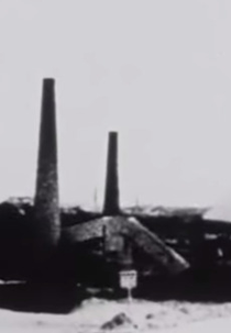 Solarflares Burn for You (Solarflares Burn for You)