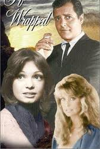 Poster 1 de Filme The Girl Who Came Gift-Wrapped (1974)