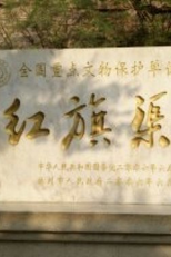 Red Flag Canal (红旗渠)