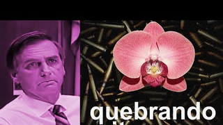Trailer: QUEBRANDO MITOS