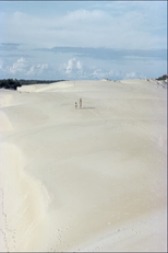 Itaúnas: Desastre Ecológico (Itaúnas: Desastre Ecológico)