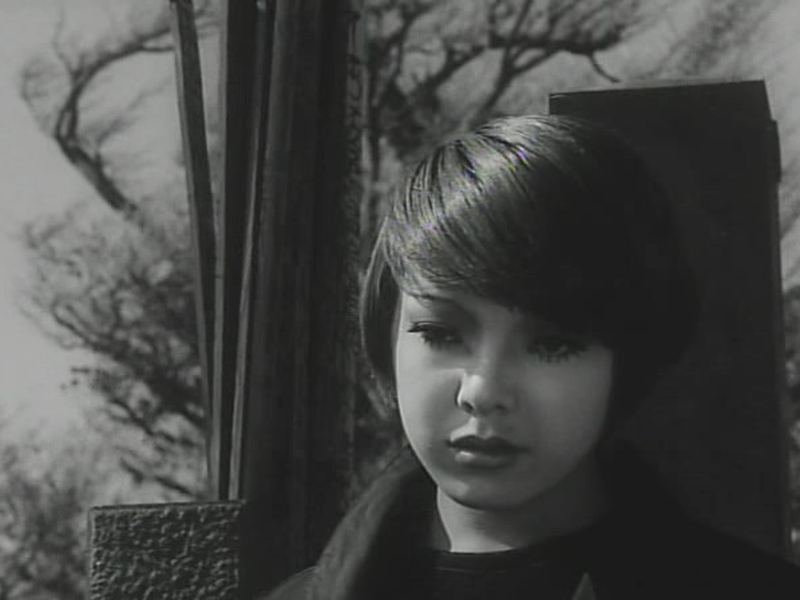 Foto 3 de O Funeral das Rosas