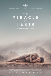O Milagre de Tekir - Poster / Capa / Cartaz - Oficial 1