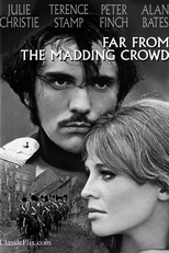 Longe Deste Insensato Mundo (Far from the Madding Crowd)