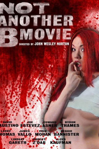 Poster de Filme Not Another B Movie (2010)