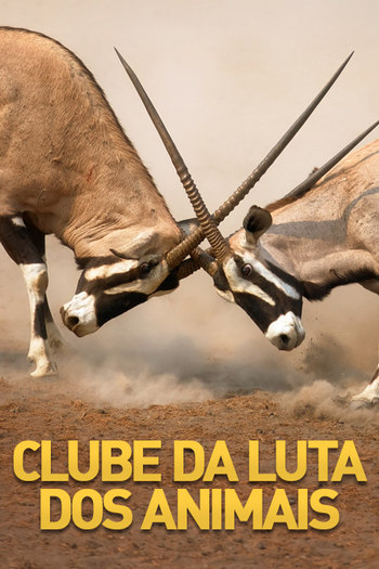 Poster de Série Clube da Luta dos animais  (2014)