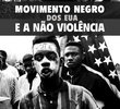 Movimento Negro dos EUA e a Não Violência