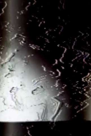 Poster 1 de Curta Cetacean (1976)