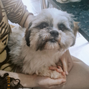 Foto de perfil de Isa