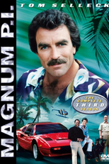 Magnum (3ª Temporada) (Magnum, P.I. (Season 3))