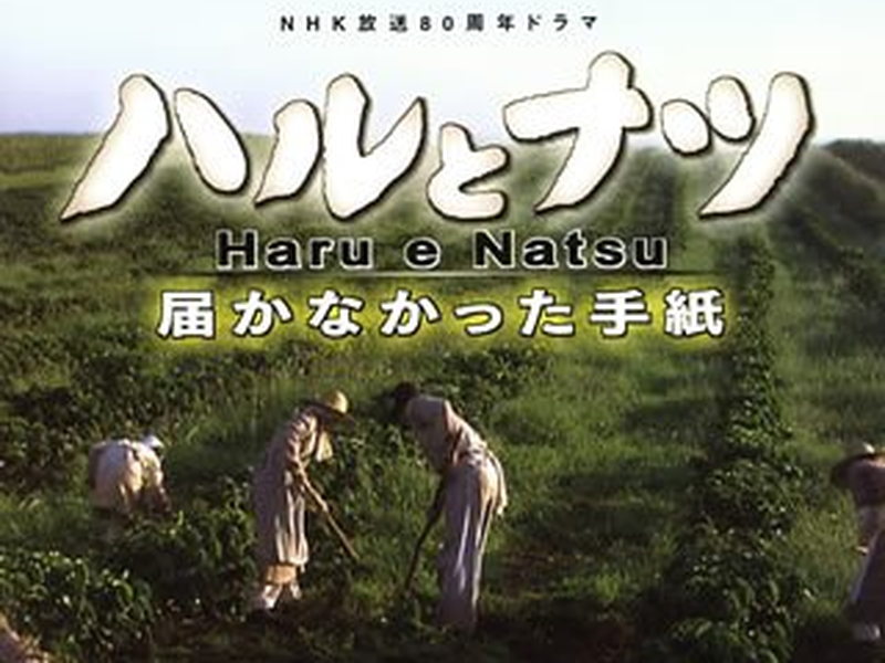 Foto 1 de Haru e Natsu: As Cartas Que Não Chegaram