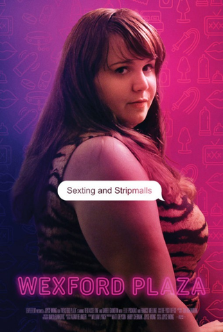 Poster 2 de Filme Wexford Plaza (2016)