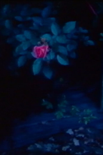  de Curta Ein Schlauchboot und Austern (1985)