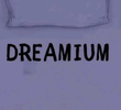 We Bare Bears: Dreamium