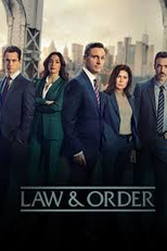 Law & Order (25ª Temporada) (Law & Order (Season 25))
